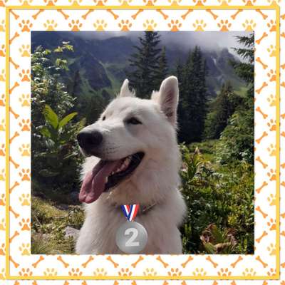 Kurzgeschichten-Challenge Nr. 18-Beitrag-Bild