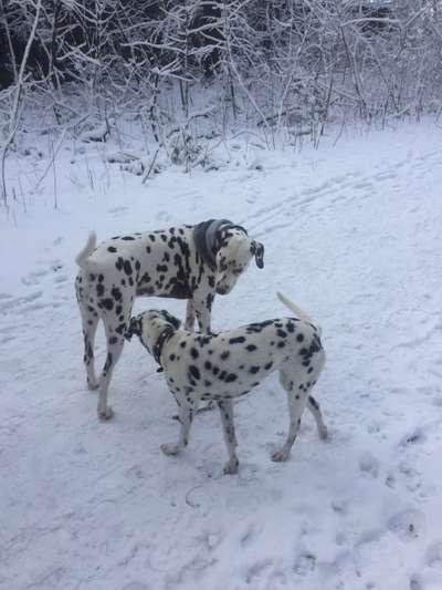 Fotochallenge 130-Beitrag-Bild