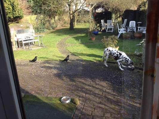 155. FotoChallange * David und Goliath *-Beitrag-Bild