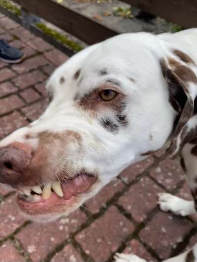 26. Handy Foto Challenge-Beitrag-Bild