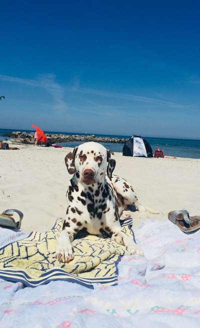 Fotochallenge Nr. 94 It's summer time-Beitrag-Bild