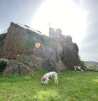 Dogorama Foto Challenge - Wanderziel-Beitrag-Bild