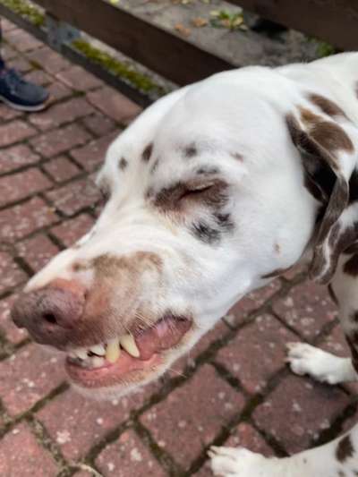 Handy-foto Challange nr. 11-Beitrag-Bild