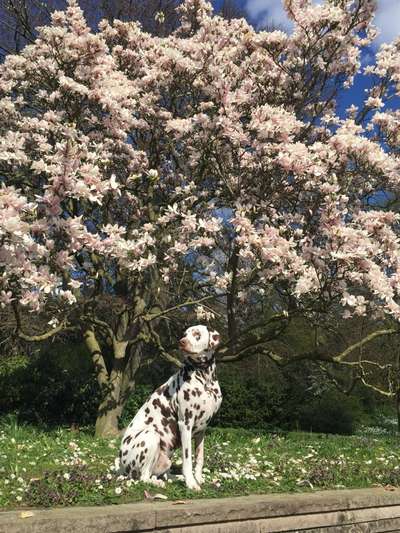 17. Farben Foto Challenge: Pastellfarben-Beitrag-Bild