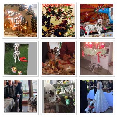 8. Collagen Challenge - Feste/Feierlichkeiten-Beitrag-Bild