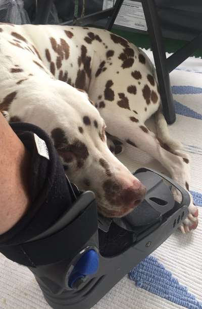 4. Lustiger Schlafplatz-Beitrag-Bild