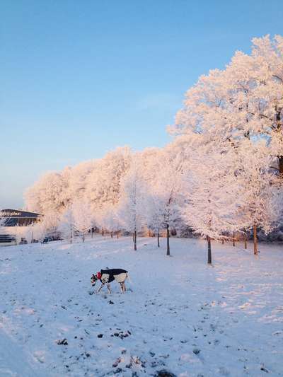 14. Farbenfoto-Challenge "Weiss"-Beitrag-Bild