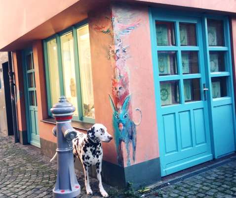 23. Farben / Fotochallenge - Türkis --Beitrag-Bild