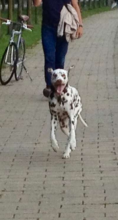 Foto-Challenge Nr. 90: Lebensfreude-Beitrag-Bild