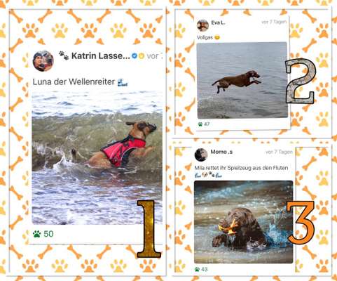 35. Handy Foto Challenge - Das nasse Element-Beitrag-Bild