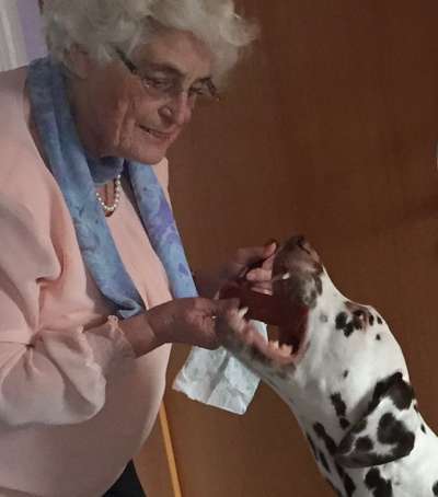 Dogorama Photo Challenge - Mäulchen auf-Beitrag-Bild