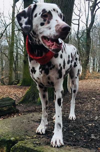 Foto Challenge Nr. 79-Beitrag-Bild