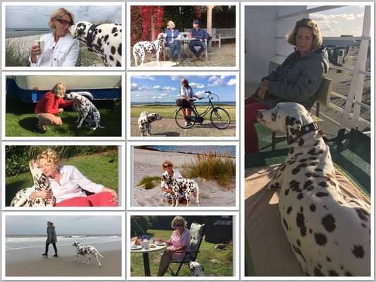 21. Collage Challenge 
Du und dein Hund-Beitrag-Bild