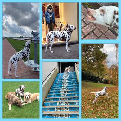 12. Collagen Challenge - Auslastung/Training-Beitrag-Bild