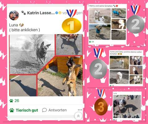 43. Collage Challenge - Schattenspiele-Beitrag-Bild