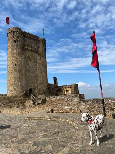 Dogorama Photo Challenge - Steine/Felsen-Beitrag-Bild