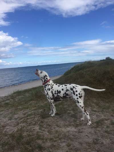 Theos  Fotochallenge Nummer 2-Beitrag-Bild