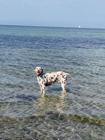 Foto Challenge Nr.133-Beitrag-Bild