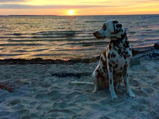 Sonnenaufgänge oder - untergänge-Beitrag-Bild