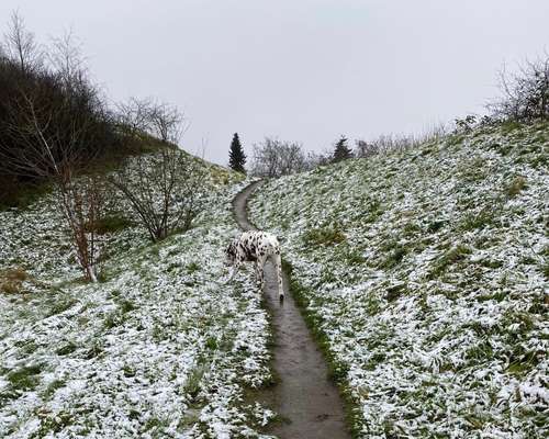 Ton in Ton-Beitrag-Bild