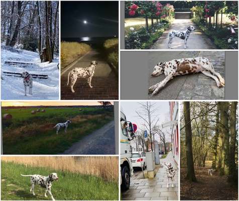 30. Collagen Challenge - Wege/Straßen-Beitrag-Bild