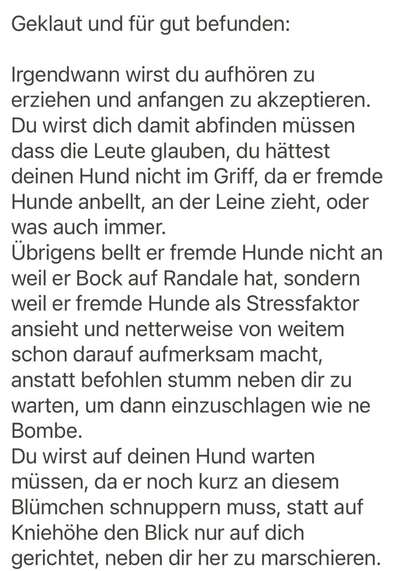 Hund im Garten - Eure Meinungen-Beitrag-Bild