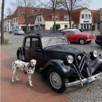 56. Handy Foto Challenge - Grosse Maschinen-Beitrag-Bild