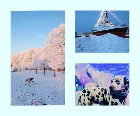 Der erste Schnee, zeigt uns eure tollen Schneemomente-Beitrag-Bild