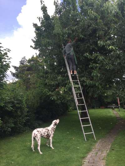 Fotochallenge 129-Beitrag-Bild