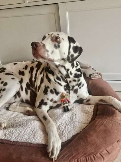 150. Foto Challaenge:  Die Augen, der Spiegel der Seele-Beitrag-Bild