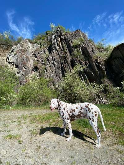 Fotochallenge Nr 107-Beitrag-Bild