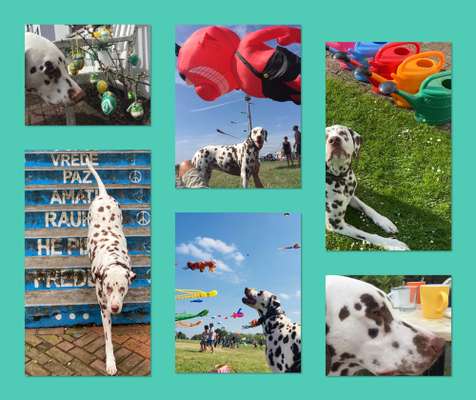 48. Collagen Challenge: Das Leben ist bunt-Beitrag-Bild