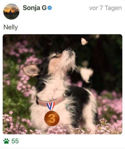 FOTOCHALLENGE 86-Beitrag-Bild