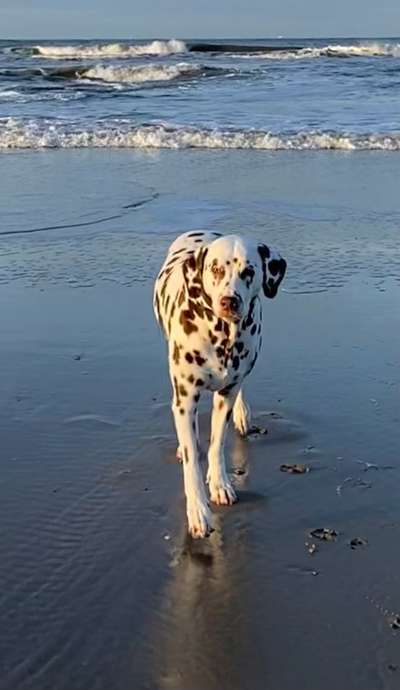 69. Handy-Fotochallenge: Soundtrack-Beitrag-Bild