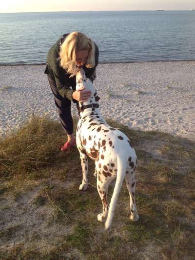 Küsschenbilder-Beitrag-Bild