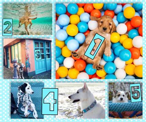 23. Farben / Fotochallenge - Türkis --Beitrag-Bild