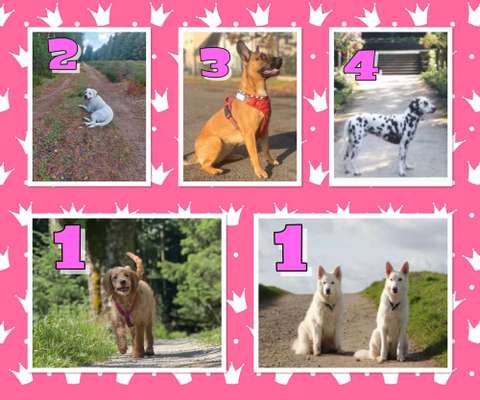 30. Collagen Challenge - Wege/Straßen-Beitrag-Bild