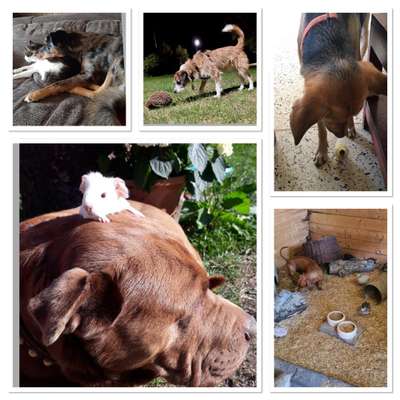 17. Handyfoto – Challenge-Beitrag-Bild