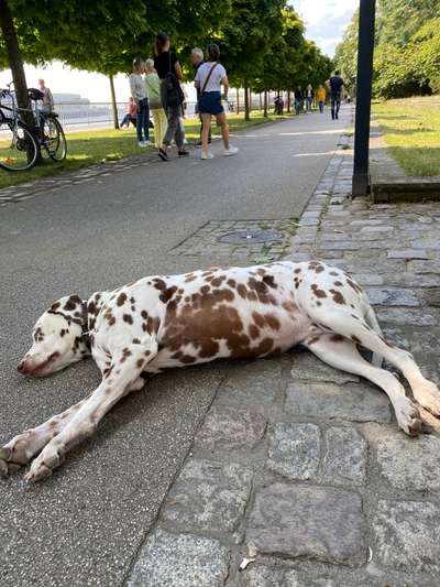 Foto Challenge - Zeigt her eure Bäuche-Beitrag-Bild