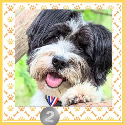 Kurzgeschichten-Challenge Nr. 18-Beitrag-Bild