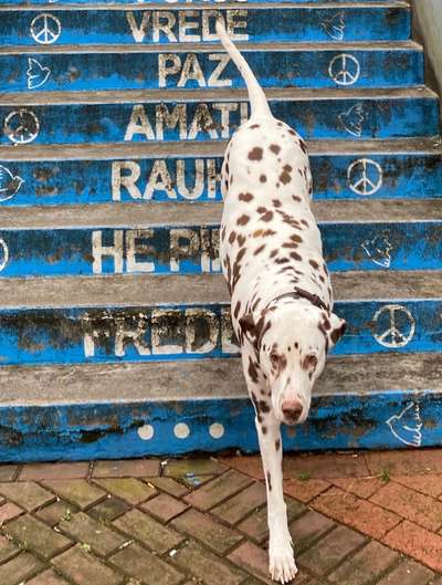 21. Handy-Foto-Challenge-Beitrag-Bild