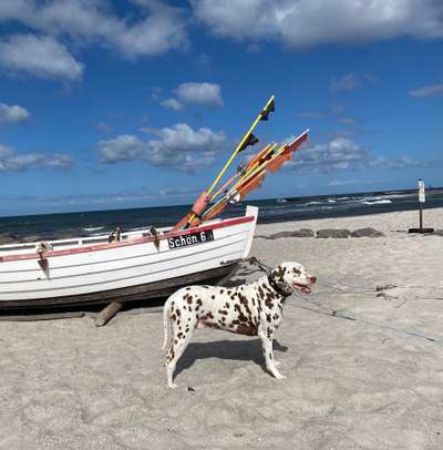 Theos Fotochallange Nummer 4-Beitrag-Bild