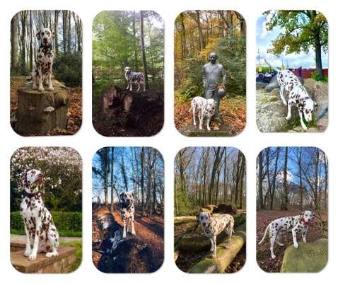 31. Collagen Challenge - Bänke/ Steine /Baumstümpfe-Beitrag-Bild