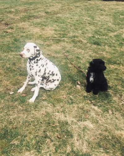 Foto-Challange No.1 - Alles aber nicht die Kamera-Beitrag-Bild