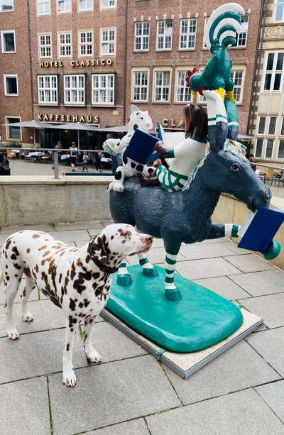 19. Farben  Fottochallenge :
Lieblingsfarbe-Beitrag-Bild