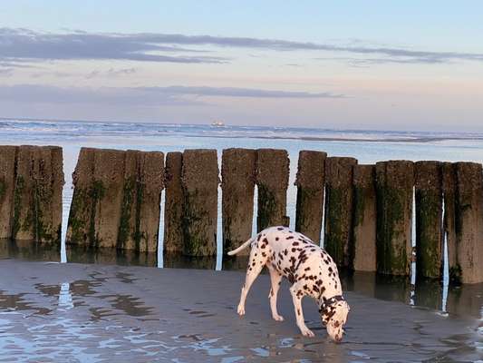 Fotochallenge Nr.100 Urlaubsimpressionen-Beitrag-Bild