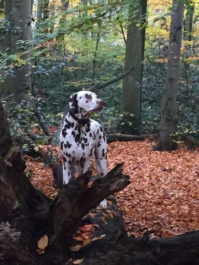 Theos Fotochallenge Nr. 3-Beitrag-Bild