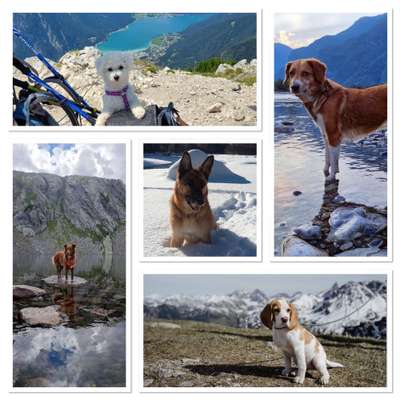 Fotochallenge Nr 107-Beitrag-Bild