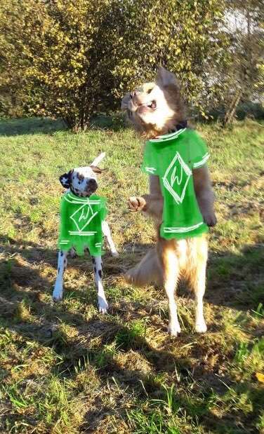 Pullis, Jacken, Hütte und alles sonstiges-Beitrag-Bild