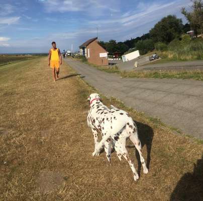 Dogorama Photo Challenge - Fail/Outtakes-Beitrag-Bild
